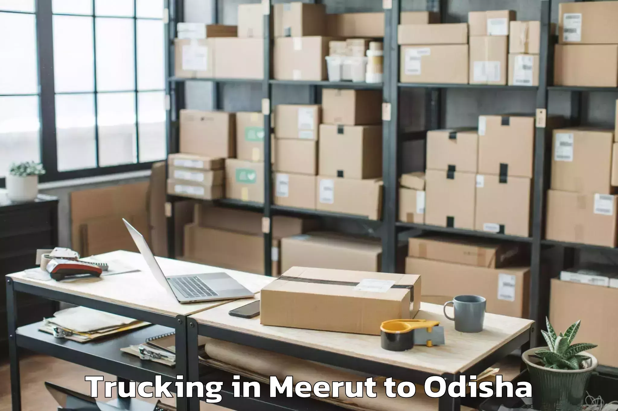 Book Meerut to Badampahar Trucking Online